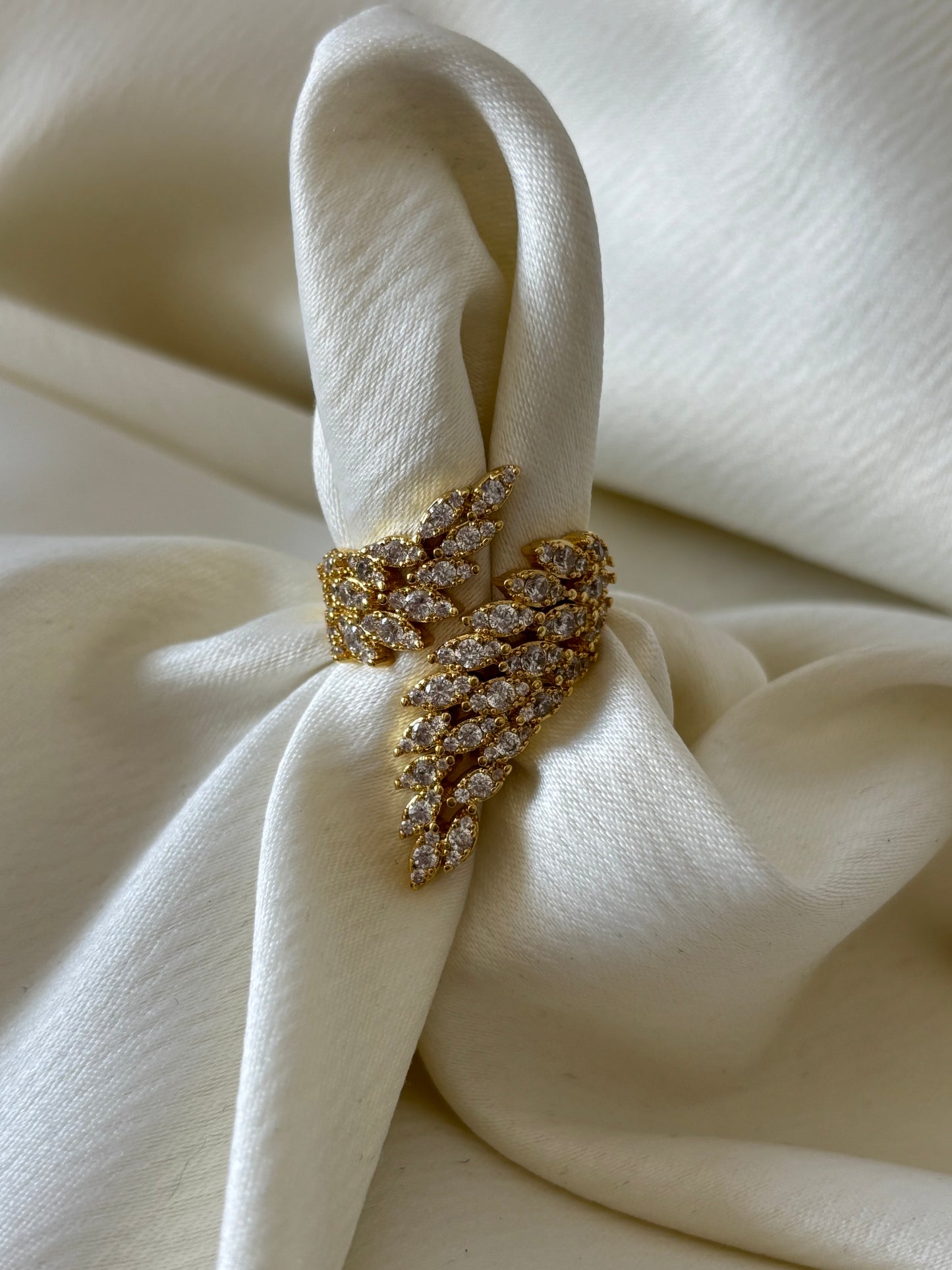 Anillo Alas